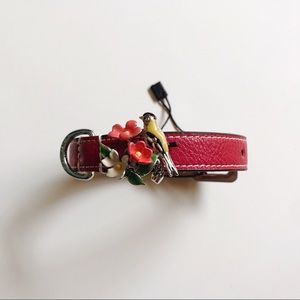 Bowhaus NYC Birdie Dog Collar